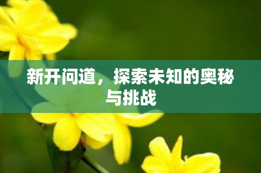 新开问道，探索未知的奥秘与挑战