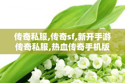 传奇私服,传奇sf,新开手游传奇私服,热血传奇手机版,新开手游传奇私服
