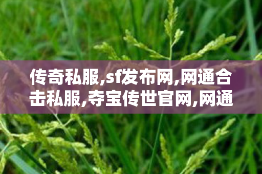传奇私服,sf发布网,网通合击私服,夺宝传世官网,网通合击私服