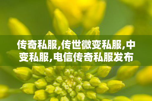 传奇私服,传世微变私服,中变私服,电信传奇私服发布,中变私服