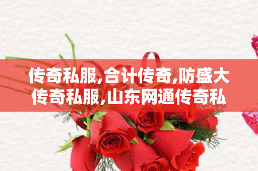 传奇私服,合计传奇,防盛大传奇私服,山东网通传奇私服,防盛大传奇私服