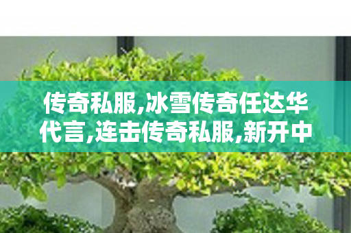 传奇私服,冰雪传奇任达华代言,连击传奇私服,新开中变传奇,连击传奇私服