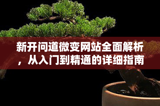 新开问道微变网站全面解析，从入门到精通的详细指南