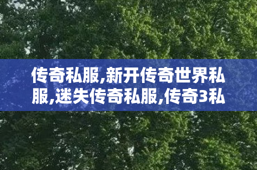 传奇私服,新开传奇世界私服,迷失传奇私服,传奇3私服,迷失传奇私服