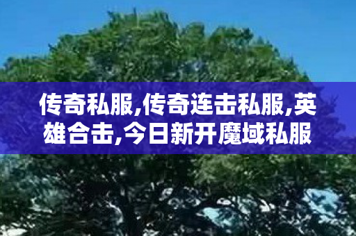 传奇私服,传奇连击私服,英雄合击,今日新开魔域私服,英雄合击