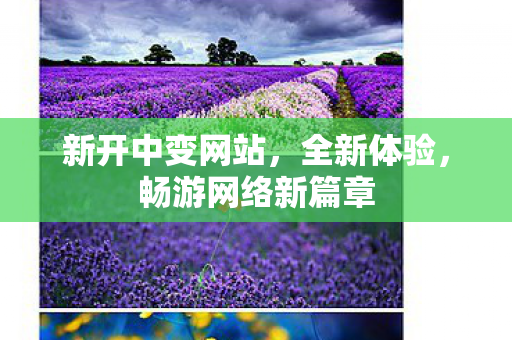 新开中变网站，全新体验，畅游网络新篇章