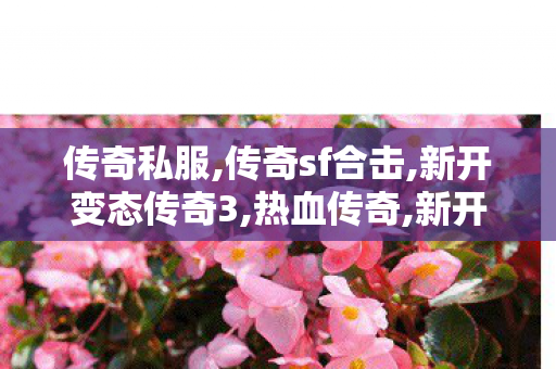 传奇私服,传奇sf合击,新开变态传奇3,热血传奇,新开变态传奇3