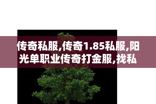 传奇私服,传奇1.85私服,阳光单职业传奇打金服,找私服,阳光单职业传奇打金服