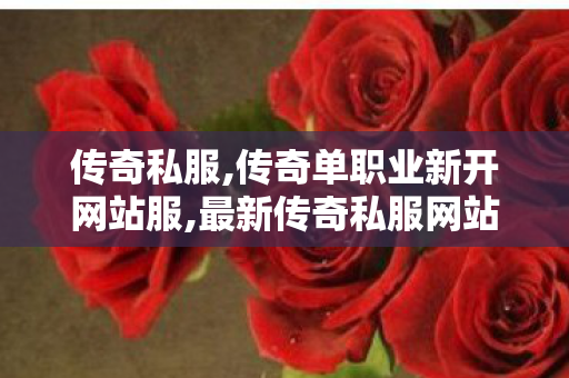 传奇私服,传奇单职业新开网站服,最新传奇私服网站,1.80复古发布网,最新传奇私服网站