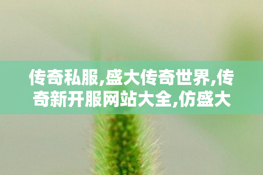 传奇私服,盛大传奇世界,传奇新开服网站大全,仿盛大,传奇新开服网站大全