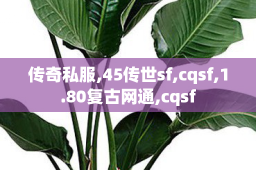 传奇私服,45传世sf,cqsf,1.80复古网通,cqsf