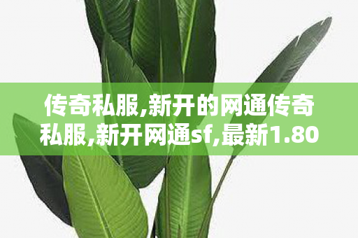 传奇私服,新开的网通传奇私服,新开网通sf,最新1.80复古,新开网通sf