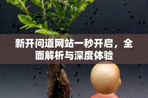 新开问道网站一秒开启，全面解析与深度体验