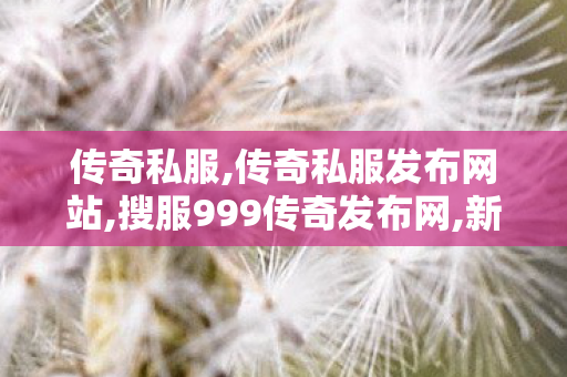 传奇私服,传奇私服发布网站,搜服999传奇发布网,新开电信传奇私服,搜服999传奇发布网