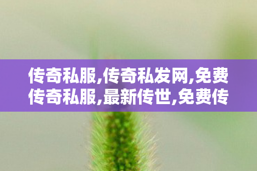 传奇私服,传奇私发网,免费传奇私服,最新传世,免费传奇私服