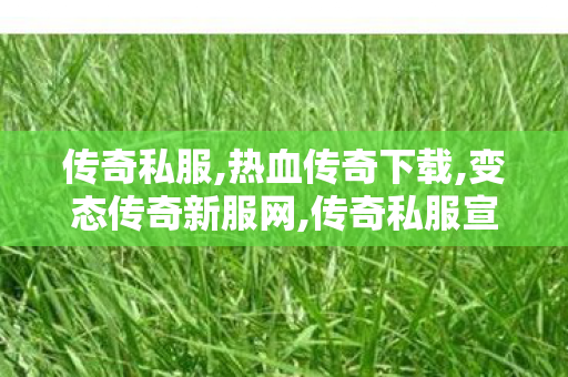 传奇私服,热血传奇下载,变态传奇新服网,传奇私服宣传网,变态传奇新服网