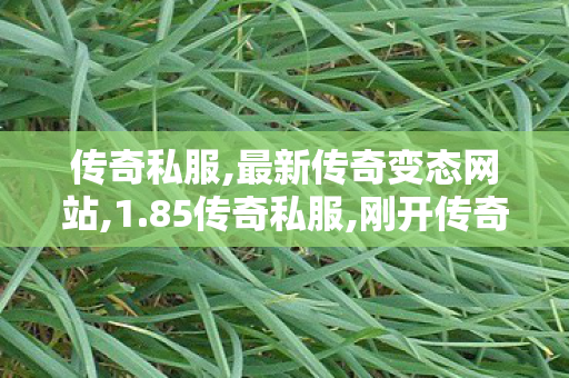 传奇私服,最新传奇变态网站,1.85传奇私服,刚开传奇,1.85传奇私服