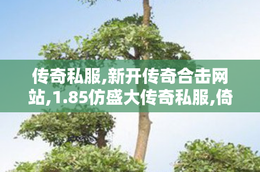 传奇私服,新开传奇合击网站,1.85仿盛大传奇私服,倚天传奇私服,1.85仿盛大传奇私服