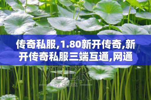 传奇私服,1.80新开传奇,新开传奇私服三端互通,网通传奇私服合击版,新开传奇私服三端互通