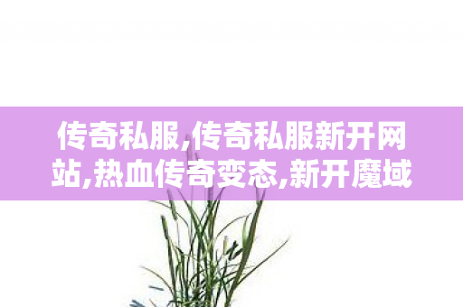 传奇私服,传奇私服新开网站,热血传奇变态,新开魔域私服发布网,热血传奇变态
