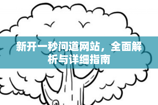 新开一秒问道网站，全面解析与详细指南