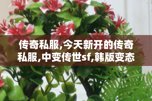 传奇私服,今天新开的传奇私服,中变传世sf,韩版变态私服,中变传世sf