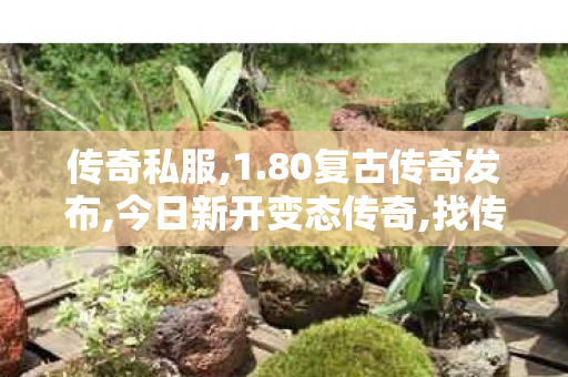 传奇私服,1.80复古传奇发布,今日新开变态传奇,找传奇私服网站,今日新开变态传奇