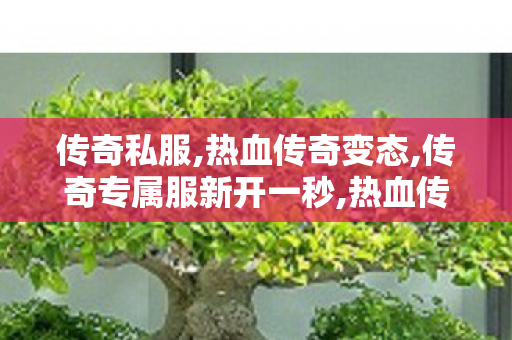 传奇私服,热血传奇变态,传奇专属服新开一秒,热血传奇新开1.76,传奇专属服新开一秒