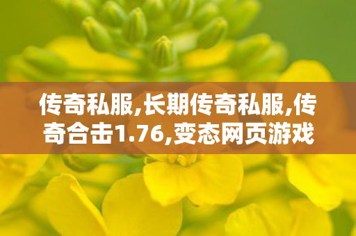 传奇私服,长期传奇私服,传奇合击1.76,变态网页游戏私服,传奇合击1.76