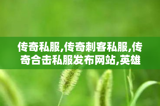 传奇私服,传奇刺客私服,传奇合击私服发布网站,英雄传奇,传奇合击私服发布网站