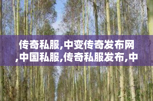 传奇私服,中变传奇发布网,中国私服,传奇私服发布,中国私服