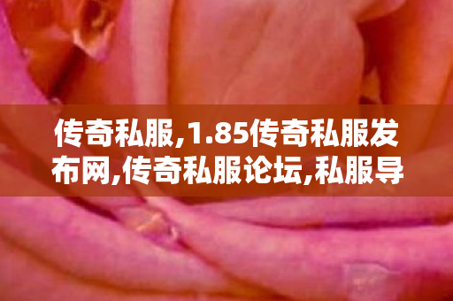 传奇私服,1.85传奇私服发布网,传奇私服论坛,私服导航,传奇私服论坛
