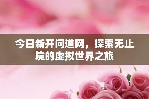 今日新开问道网，探索无止境的虚拟世界之旅