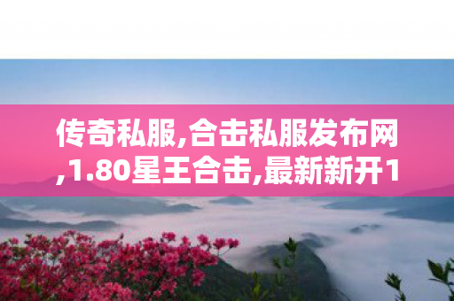 传奇私服,合击私服发布网,1.80星王合击,最新新开1.85传奇,1.80星王合击