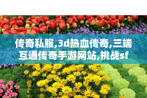 传奇私服,3d热血传奇,三端互通传奇手游网站,挑战sf,三端互通传奇手游网站