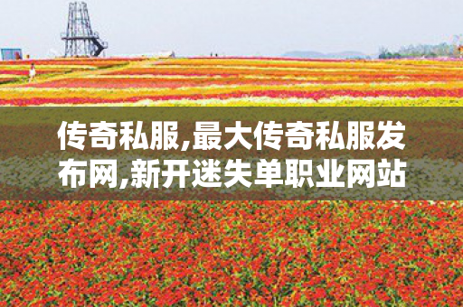传奇私服,最大传奇私服发布网,新开迷失单职业网站,176传奇,新开迷失单职业网站