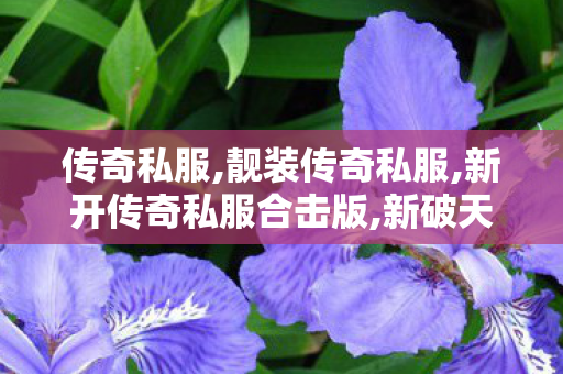 传奇私服,靓装传奇私服,新开传奇私服合击版,新破天一剑私服发布网,新开传奇私服合击版