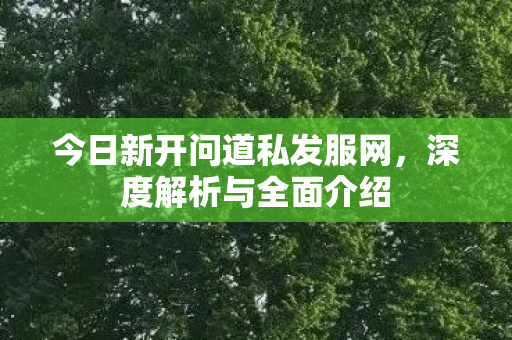 今日新开问道私发服网，深度解析与全面介绍