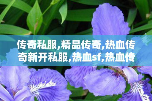 传奇私服,精品传奇,热血传奇新开私服,热血sf,热血传奇新开私服