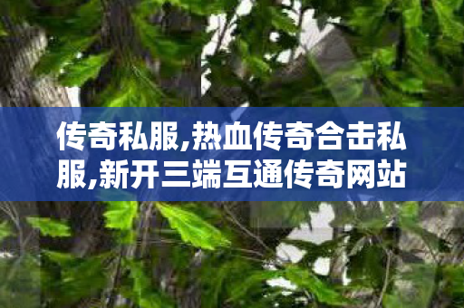 传奇私服,热血传奇合击私服,新开三端互通传奇网站,盛大正版传奇手游,新开三端互通传奇网站
