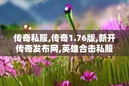 传奇私服,传奇1.76版,新开传奇发布网,英雄合击私服,新开传奇发布网