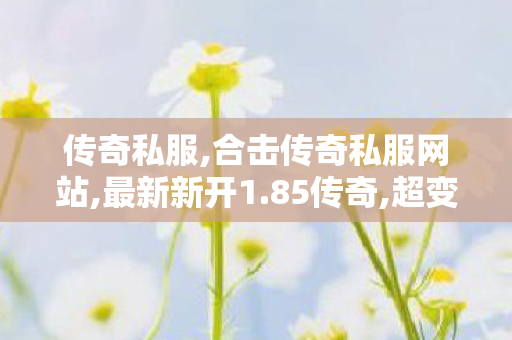 传奇私服,合击传奇私服网站,最新新开1.85传奇,超变,最新新开1.85传奇