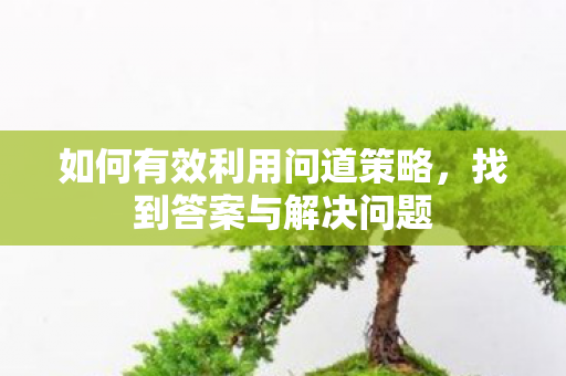 如何有效利用问道策略，找到答案与解决问题