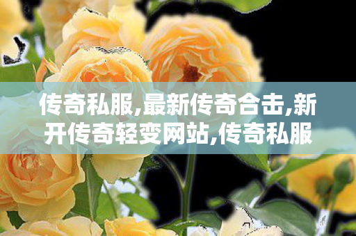 传奇私服,最新传奇合击,新开传奇轻变网站,传奇私服论坛,新开传奇轻变网站