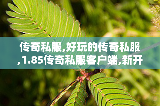 传奇私服,好玩的传奇私服,1.85传奇私服客户端,新开传奇发布网,1.85传奇私服客户端