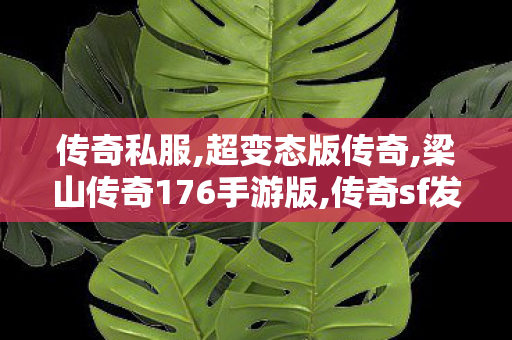 传奇私服,超变态版传奇,梁山传奇176手游版,传奇sf发布网站,梁山传奇176手游版