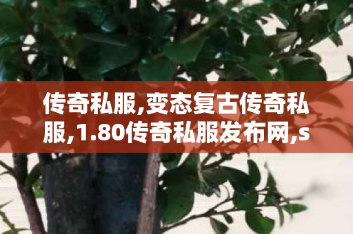 传奇私服,变态复古传奇私服,1.80传奇私服发布网,sf传奇,1.80传奇私服发布网