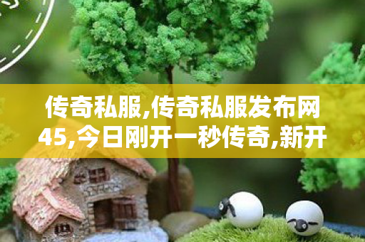 传奇私服,传奇私服发布网45,今日刚开一秒传奇,新开传奇sf,今日刚开一秒传奇