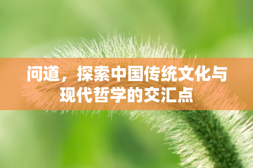 问道，探索中国传统文化与现代哲学的交汇点