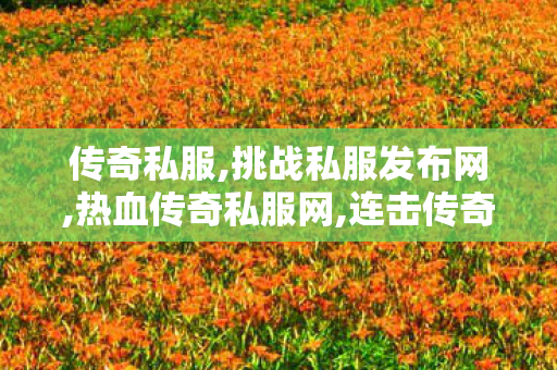 传奇私服,挑战私服发布网,热血传奇私服网,连击传奇发布网,热血传奇私服网